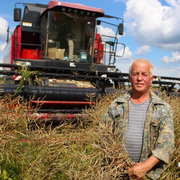 Работники учреждений образования Могилевщины оказывают посильную помощь аграриям на уборочной страде