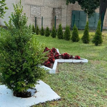 Профсоюзный актив детского сада создал живую память о Победе