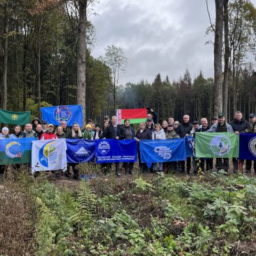 Лес — это наше общее богатство