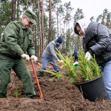Поработали с энтузиазмом. Представители ФПБ восстановили около 14 гектаров леса на Могилевщине
