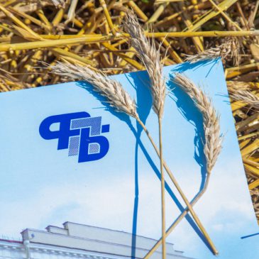 Сколько работников во время жатвы показали высокие результаты и были отмечены наградами, рассказали в ФПБ