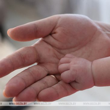 Пособия для молодых мам: что важно знать студенткам и недавним выпускницам