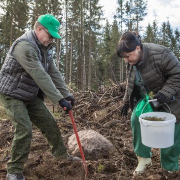 Поработали с энтузиазмом. Представители ФПБ на республиканском субботнике высадили лес под Борисовом
