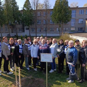 В Осиповичах появилась Аллея ветеранов